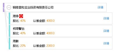 銅陵昌和實業投資有限責任公司 實業投資的戰略藍圖與價值創造